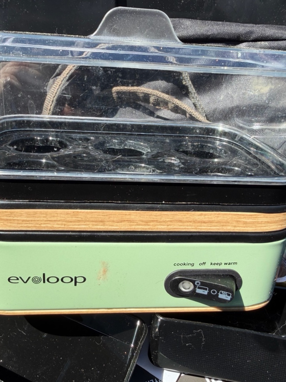 Evoloop Green Electric Steamer
